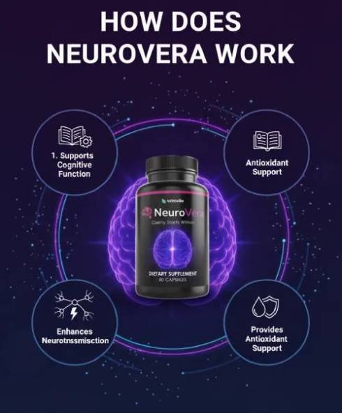 Illustration of how NeuroVera plant-based ingredients boost cognitive performance